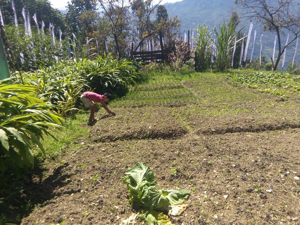 Martam Farmhouse Pelling Zewnętrze zdjęcie
