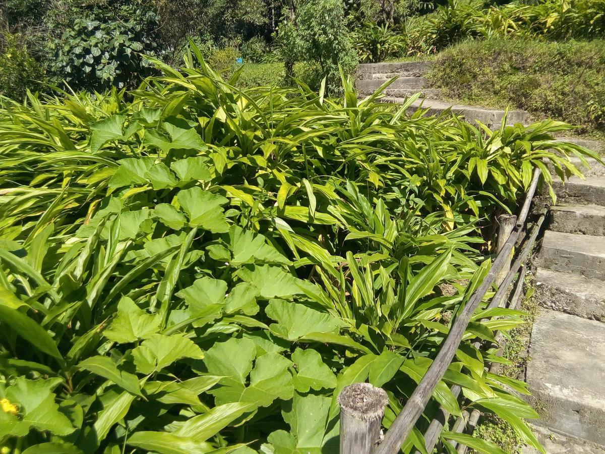 Martam Farmhouse Pelling Zewnętrze zdjęcie